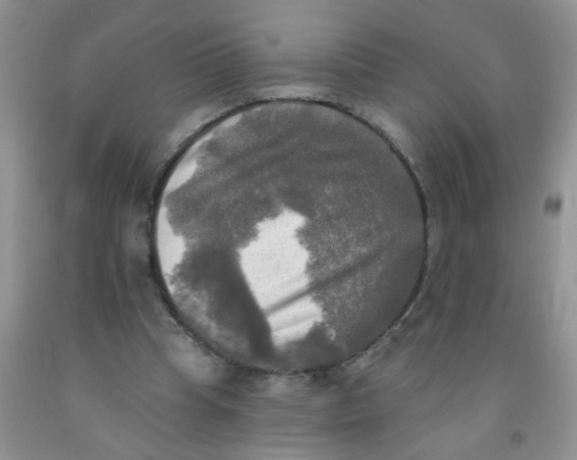 X0000091350345200709071243