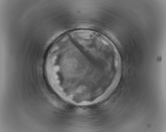 X0000091350346200709071243