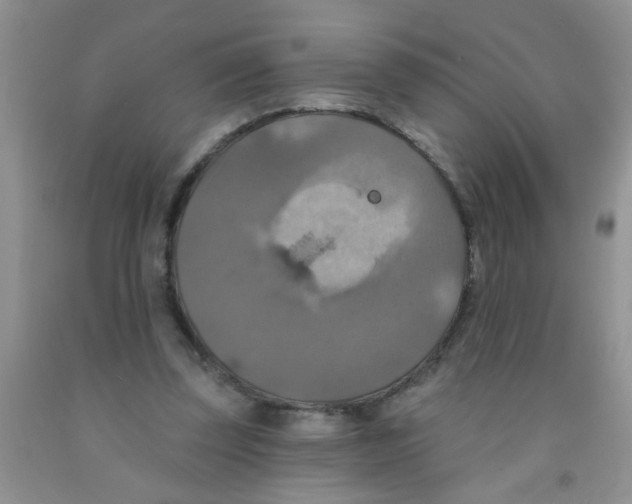 X0000091350347200709071243