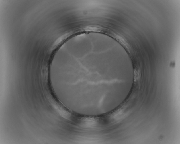 X0000091350349200709071243