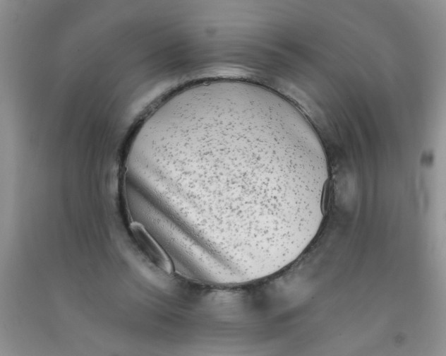X0000091350350200709071243