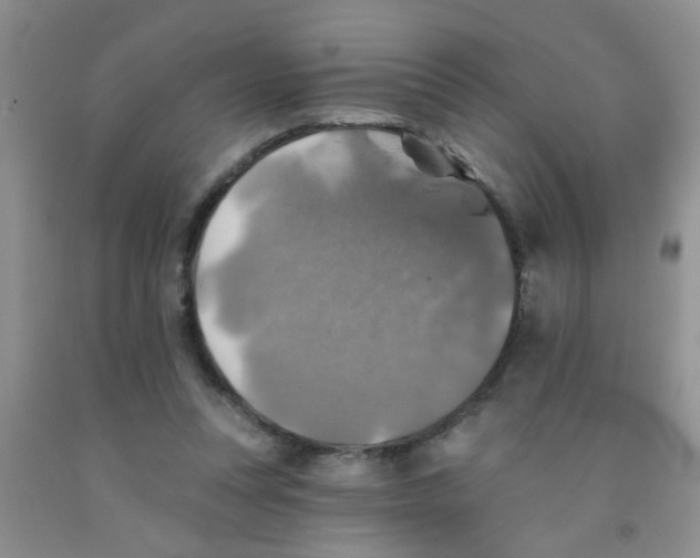 X0000091350351200709071243