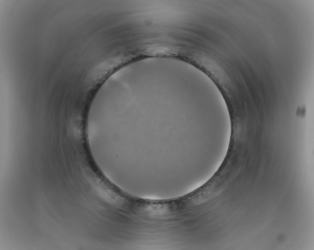 X0000091350353200709071243