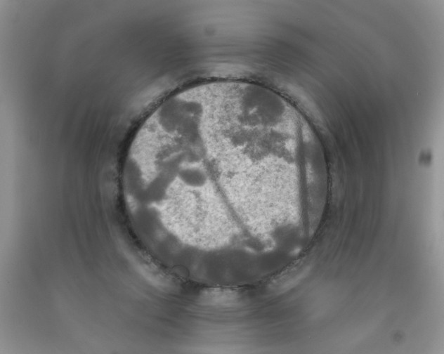 X0000091350354200709071243
