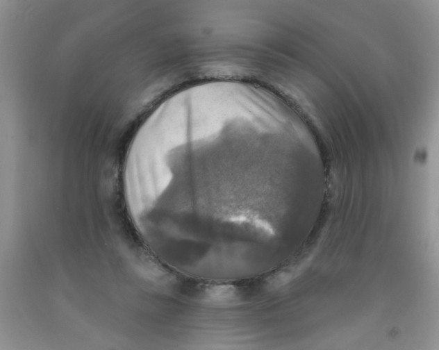 X0000091350355200709071243