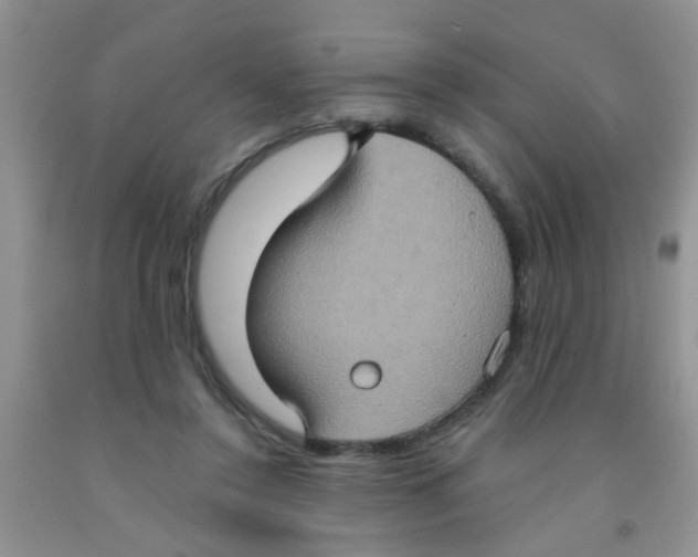 X0000091350356200709071243