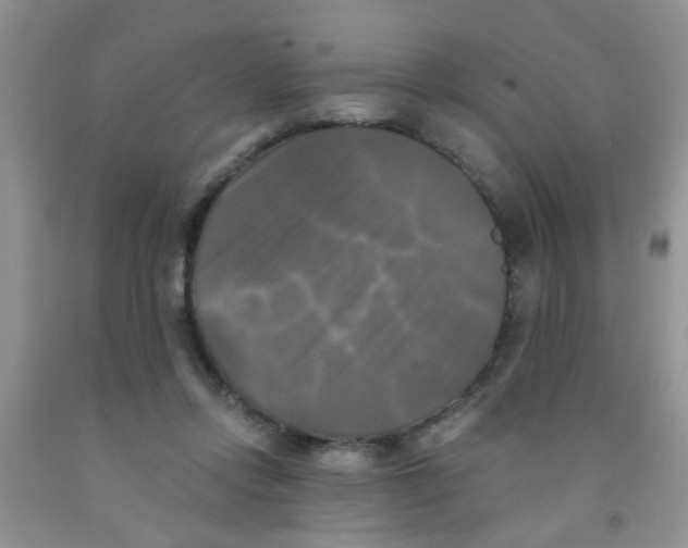 X0000091350358200709071243
