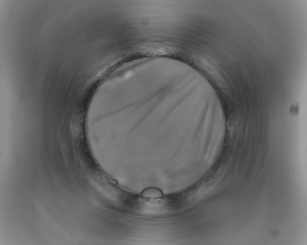 X0000091350359200709071243