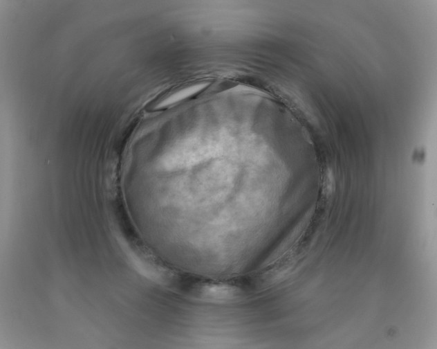X0000091350360200709071243