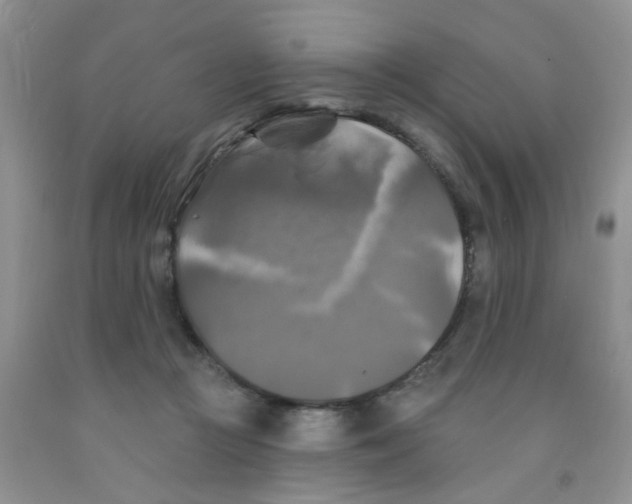X0000091350361200709071243