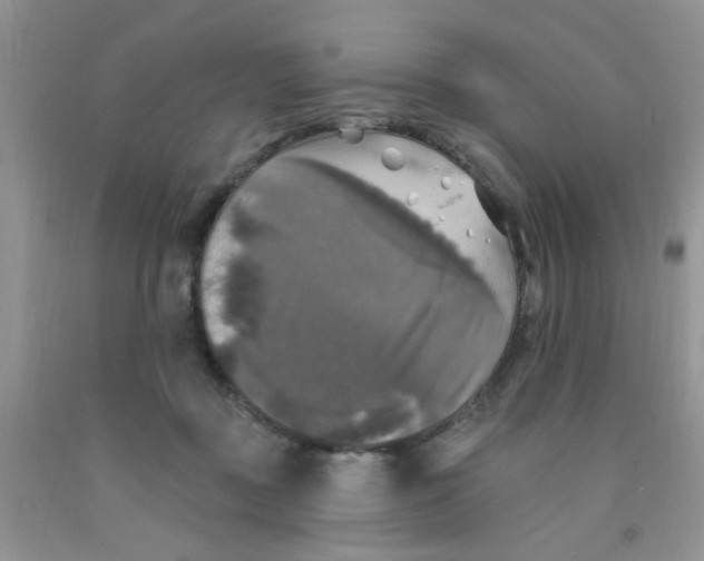 X0000091350363200709071243