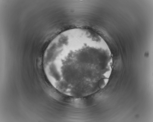 X0000091350365200709071243