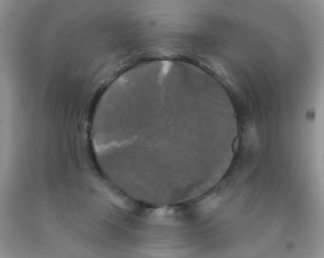 X0000091350366200709071243