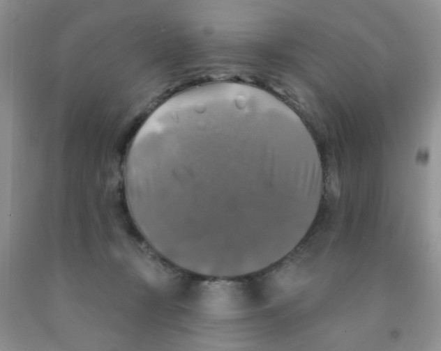 X0000091350367200709071243