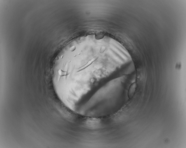 X0000091350369200709071243