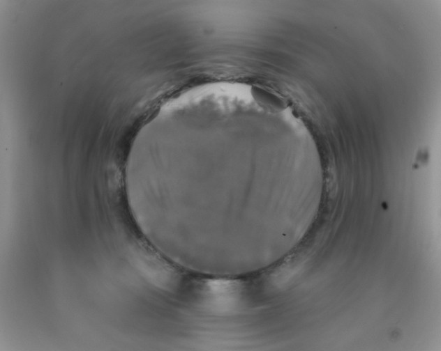 X0000091350371200709071243