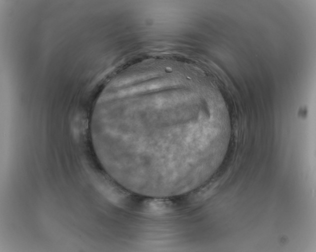 X0000091350372200709071243