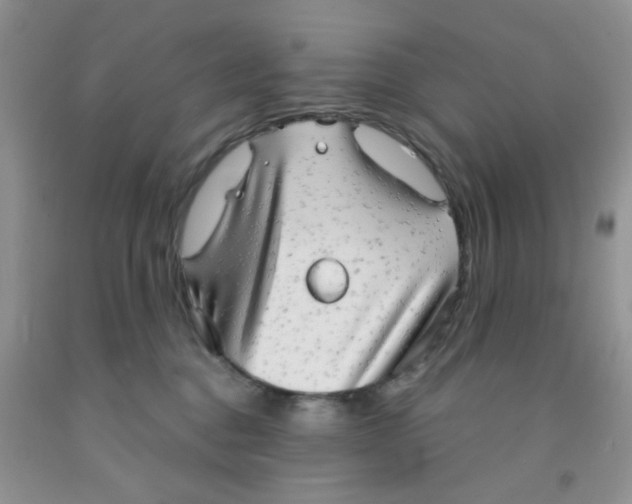 X0000091350376200709071243