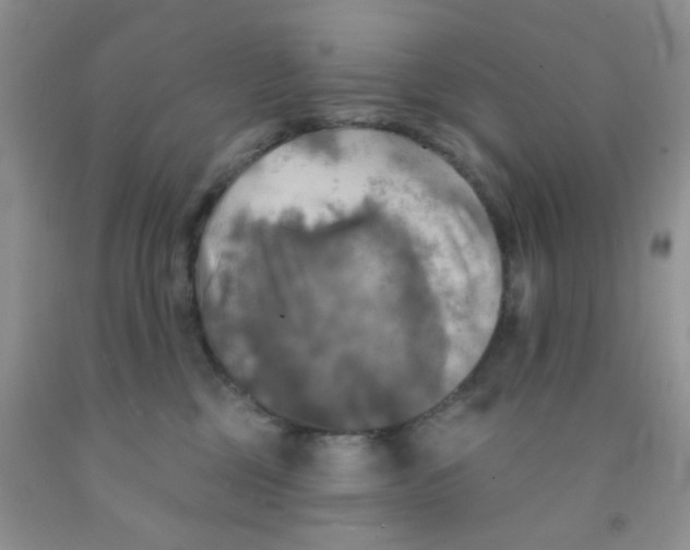 X0000091350377200709071243