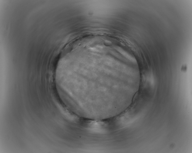 X0000091350379200709071243