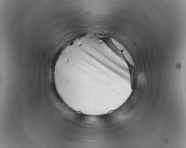 X0000091350380200709071243