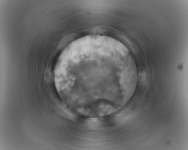 X0000091350381200709071243