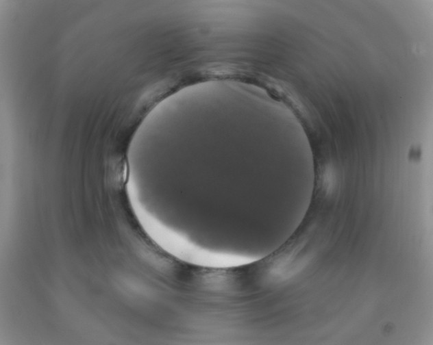 X0000091350383200709071243