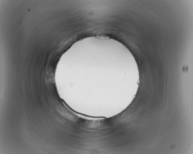 X0000091350384200709071243