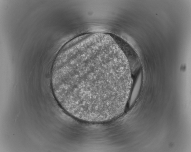 X0000091350385200709071243