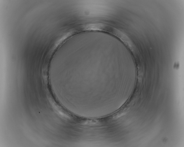 X0000091350386200709071243