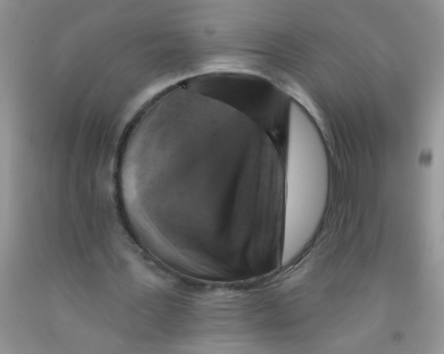 X0000091350387200709071243