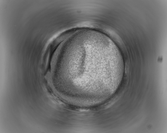 X0000091350388200709071243
