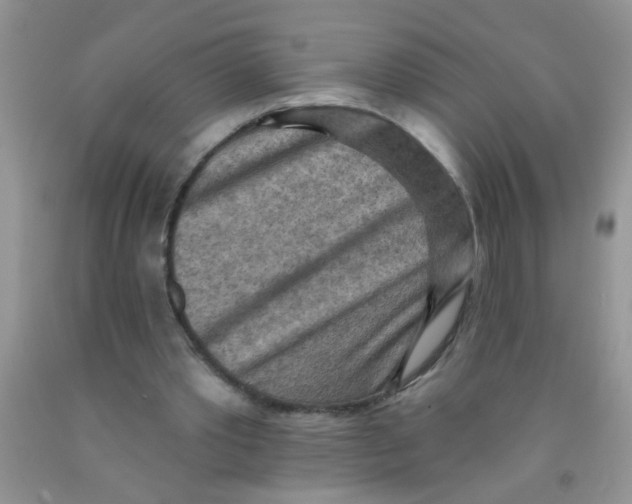 X0000091350389200709071243