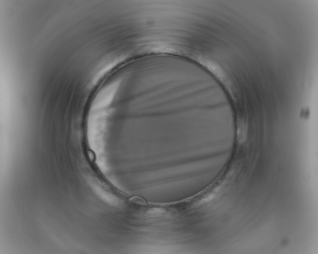 X0000091350390200709071243