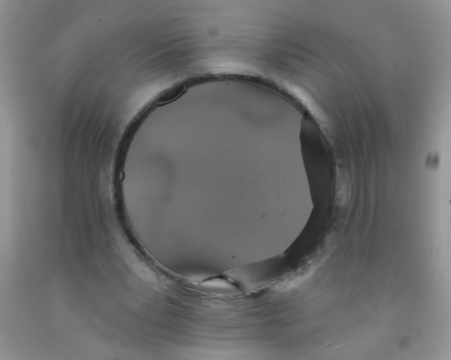 X0000091350391200709071243