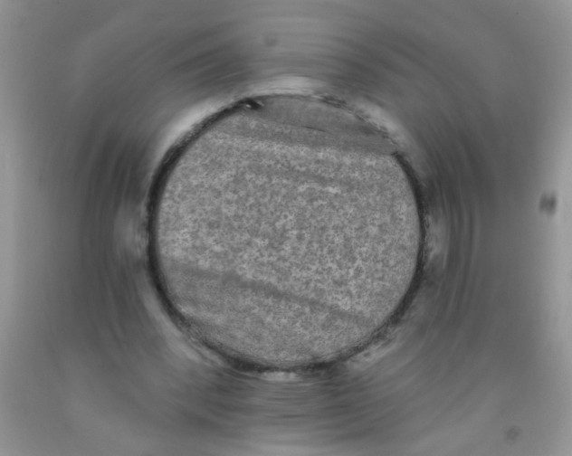 X0000091350392200709071243