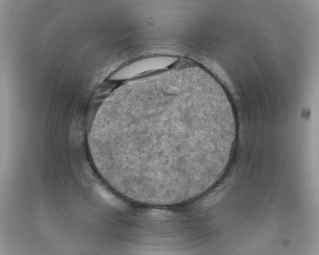 X0000091350393200709071243