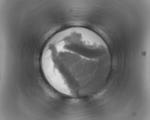 X0000091350394200709071243