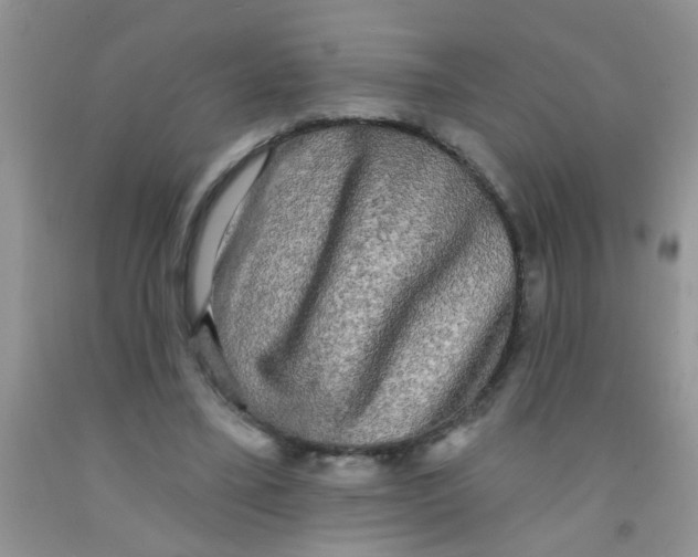 X0000091350395200709071243