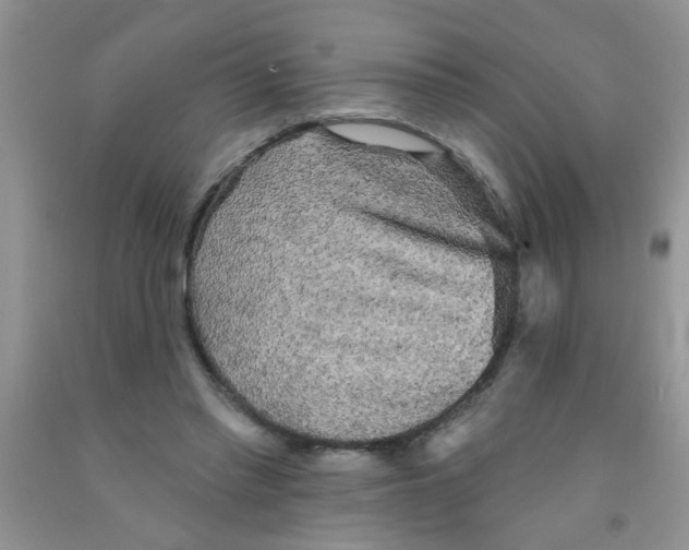 X0000091350397200709071243