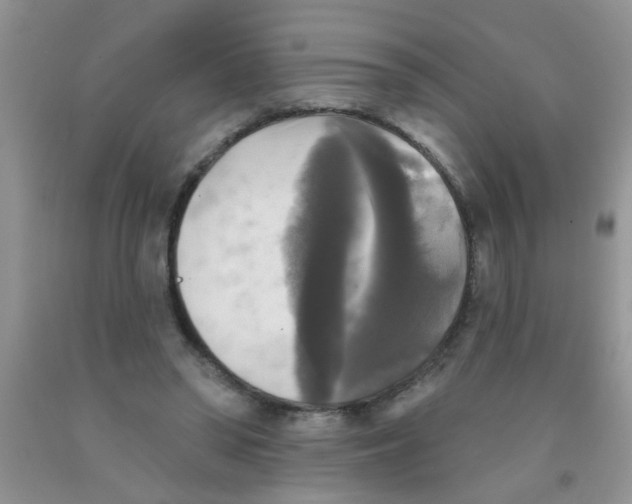 X0000091350398200709071243