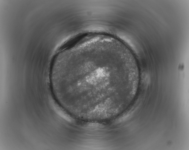 X0000091350399200709071243