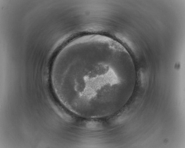 X0000091350400200709071243