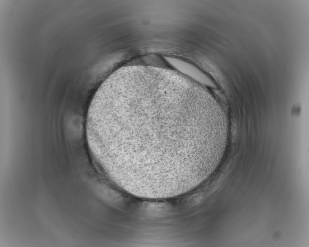 X0000091350401200709071243