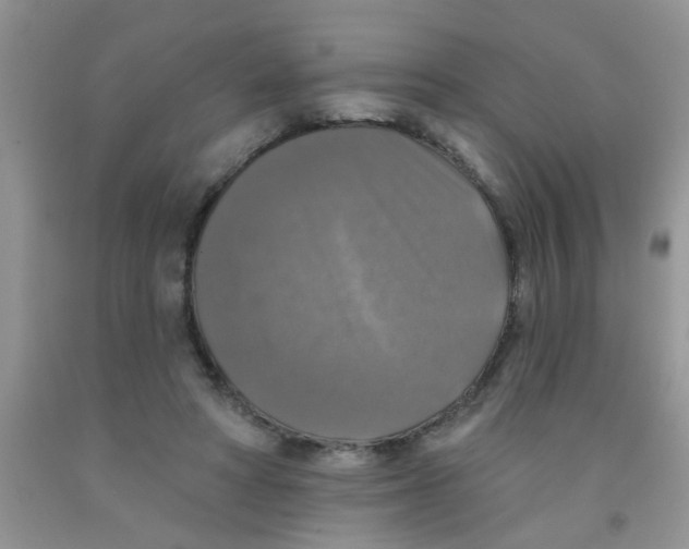 X0000091350402200709071243
