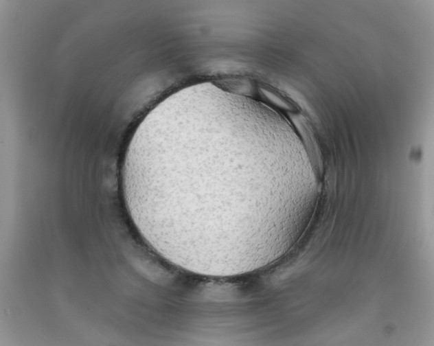 X0000091350403200709071243