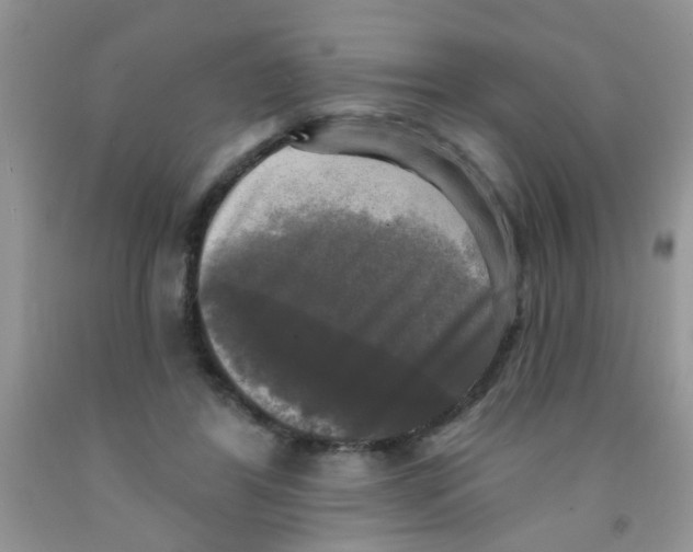 X0000091350404200709071243