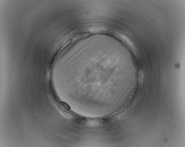 X0000091350405200709071243