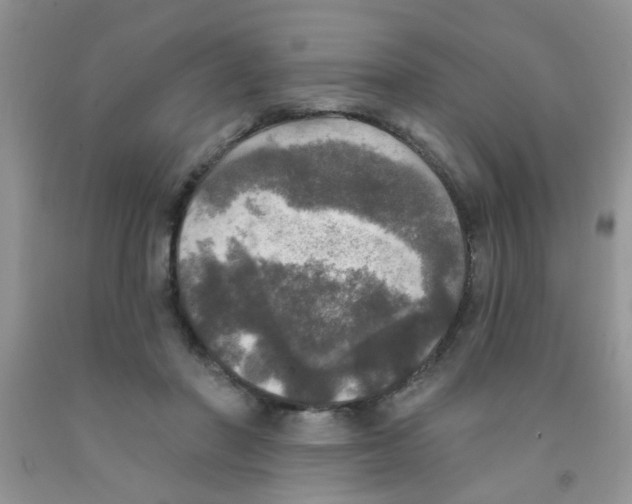 X0000091350406200709071243