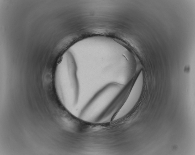 X0000091350407200709071243
